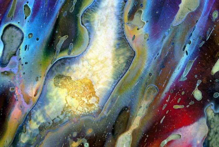 Microrganisms by Cheryl Safren