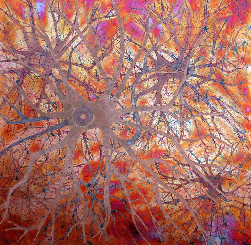 Astrocytes
